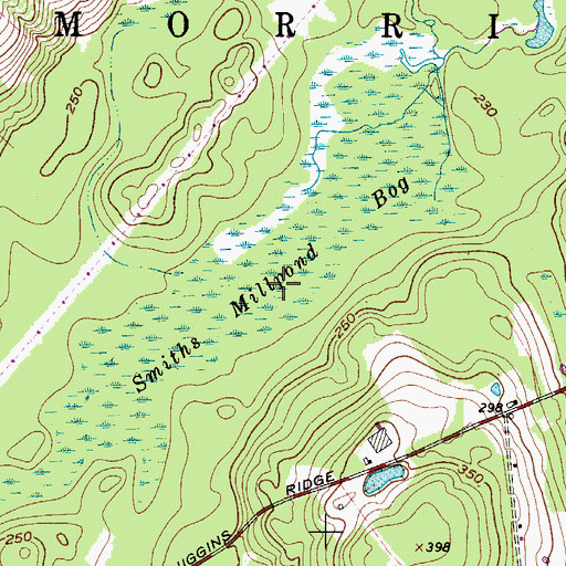 Topographic Map of Smiths Millpond Bog, ME
