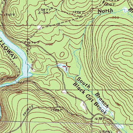 Topographic Map of South Branch Black Cat Brook, ME