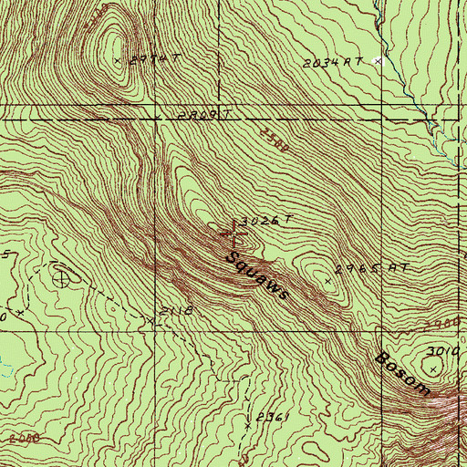 Topographic Map of Moose Bosom, ME