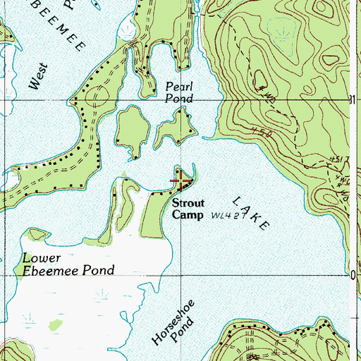 Topographic Map of Strout Camp, ME