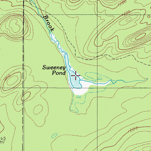 Topographic Map of Sweeney Pond, ME