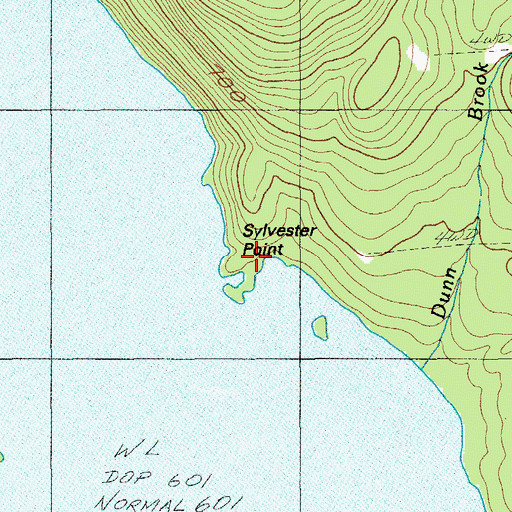 Topographic Map of Sylvester Point, ME