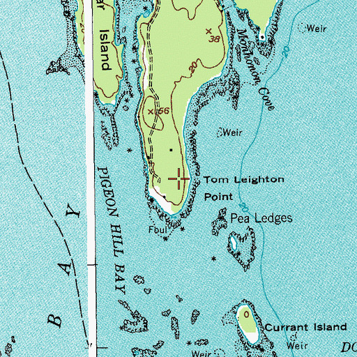 Topographic Map of Tom Leighton Point, ME