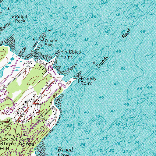 Topographic Map of Trundy Point, ME