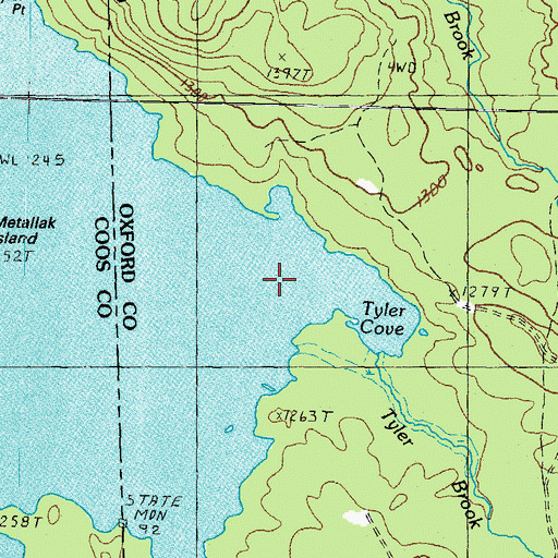 Topographic Map of Tyler Cove, ME