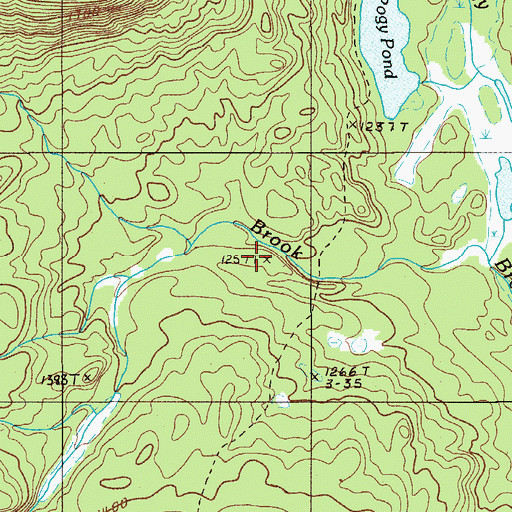 Topographic Map of South Branch Pond Campground, ME