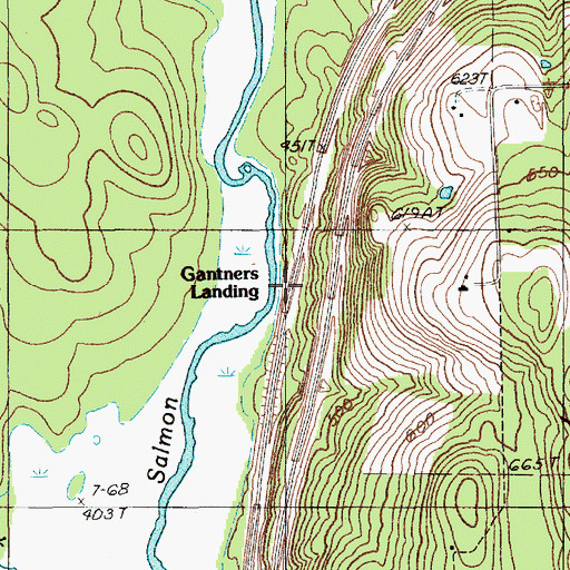 Topographic Map of Gantners Landing, ME