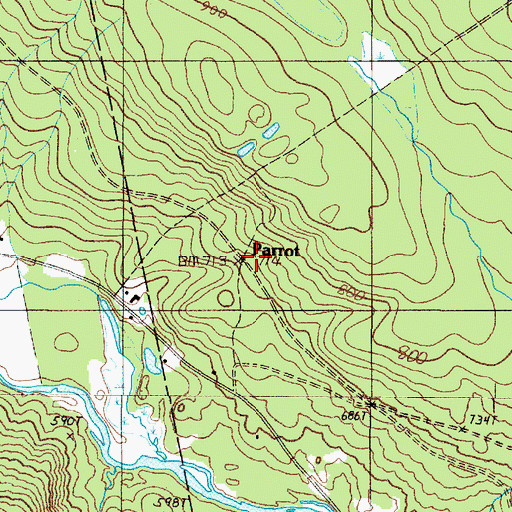 Topographic Map of Parrot, ME