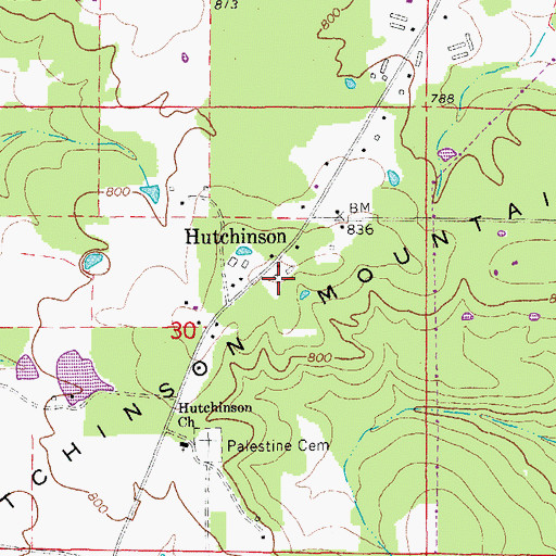 Topographic Map of Hutchinson Mountain, AR