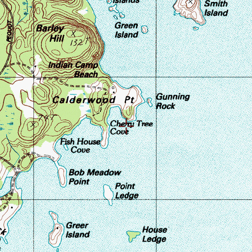 Topographic Map of Cherry Tree Cove, ME