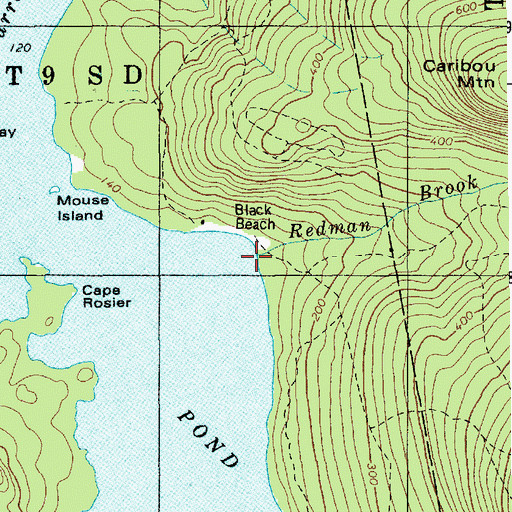 Topographic Map of Redman Brook, ME
