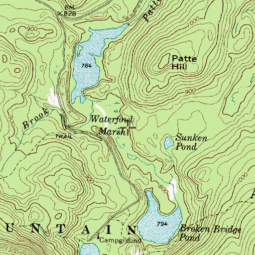 Topographic Map of Waterfowl Marsh, ME