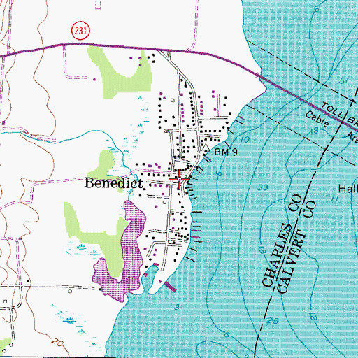 Topographic Map of Benedict, MD