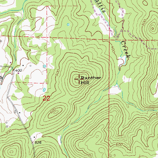 Topographic Map of Panther Hill, AR