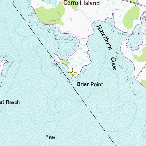 Topographic Map of Brier Point, MD
