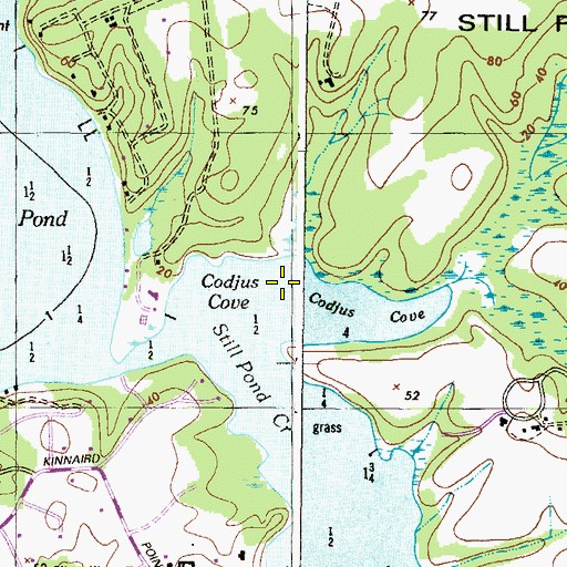 Topographic Map of Codjus Cove, MD