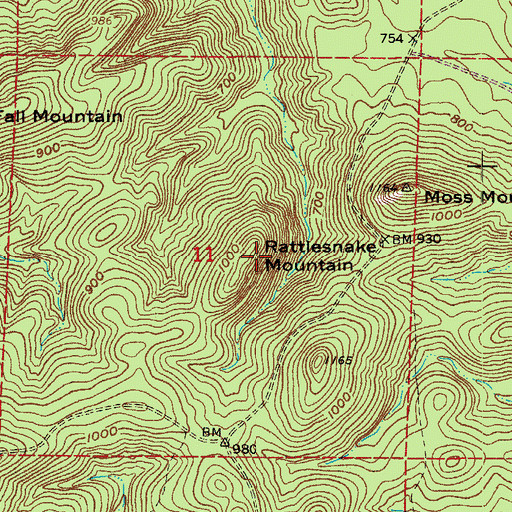 Topographic Map of Rattlesnake Mountain, AR