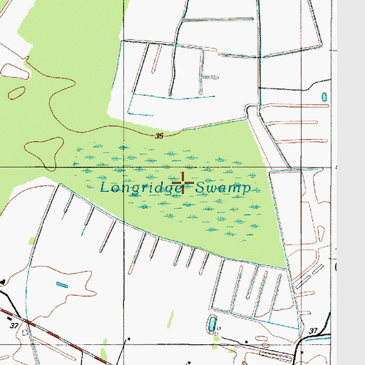 Topographic Map of Longridge Swamp, MD