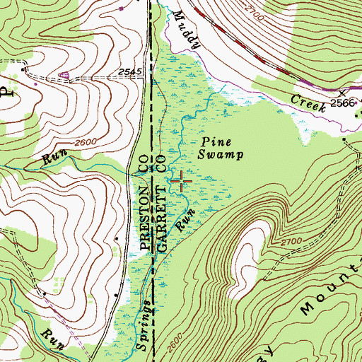 Topographic Map of Pine Swamp, MD