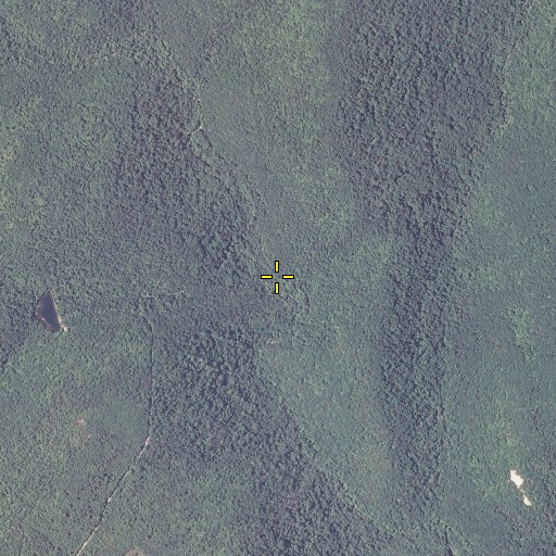 Aerial/Satellite Image of Steep Creek, MD