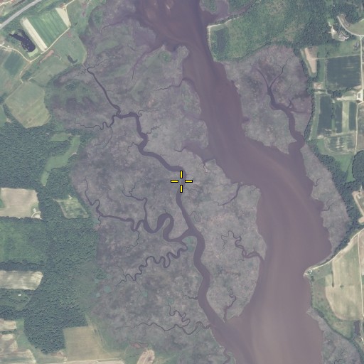 Aerial/Satellite Image of Tears Gut, MD