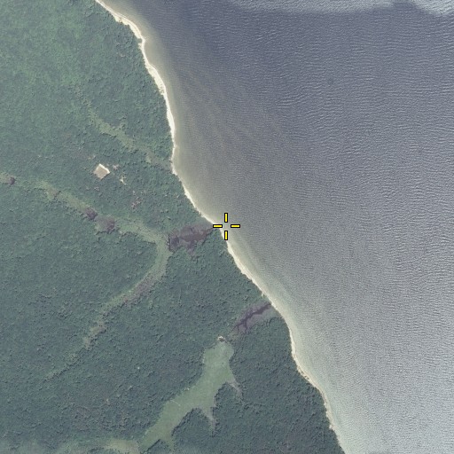 Aerial/Satellite Image of Thomas Branch, MD