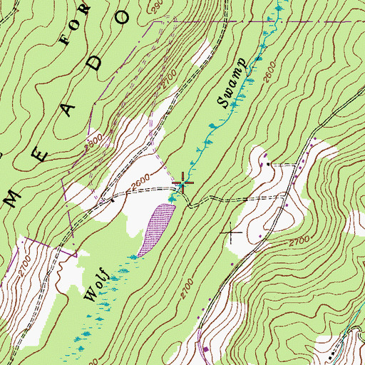 Topographic Map of Wolf Swamp, MD