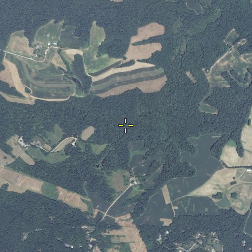 Aerial/Satellite Image of Powerline Branch, MD