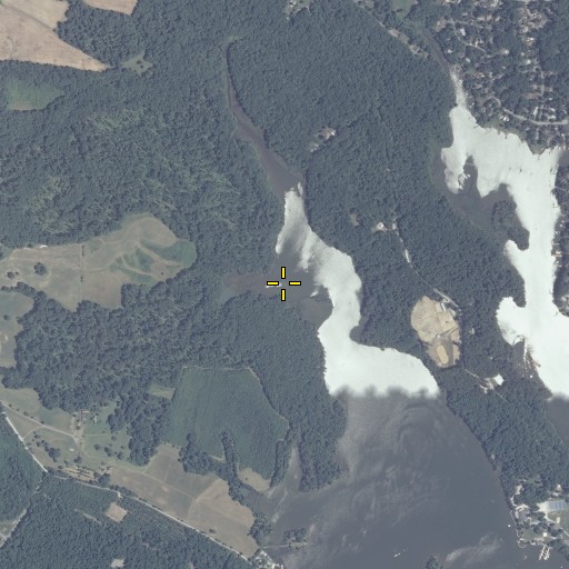 Aerial/Satellite Image of Pasture Run, MD