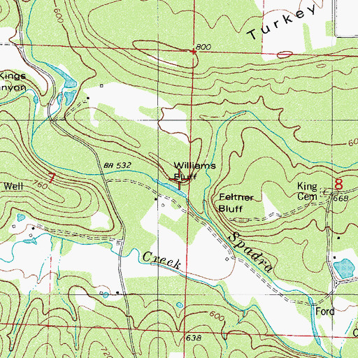 Topographic Map of Williams Bluff, AR
