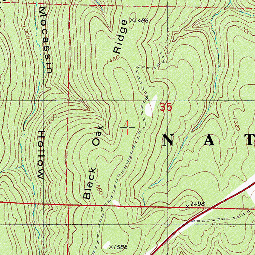 Topographic Map of Black Oak Ridge, AR