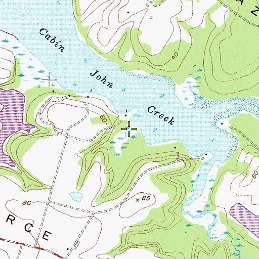 Topographic Map of Downs Branch, MD