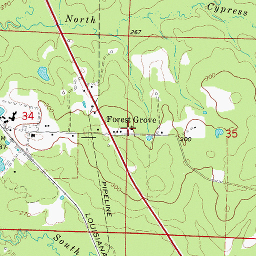 Topographic Map of Forest Grove Church, AR