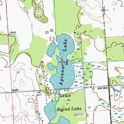 Topographic Map of Aginaw Lake, MI