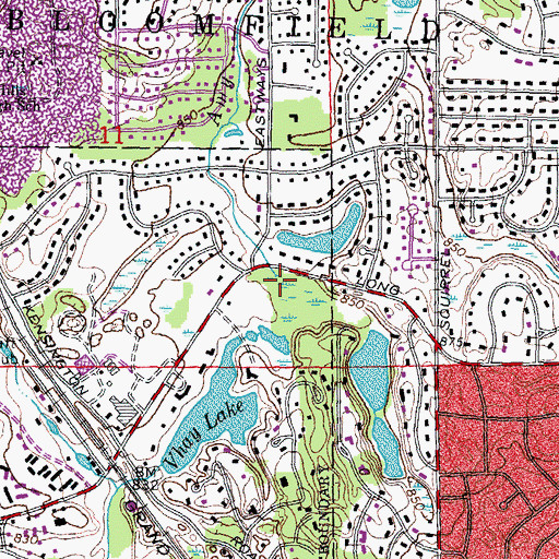 Topographic Map of Amy Drain, MI