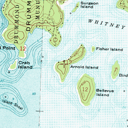 Topographic Map of Arnold Island, MI