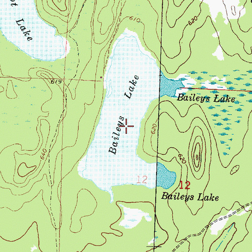 Topographic Map of Baileys Lake, MI