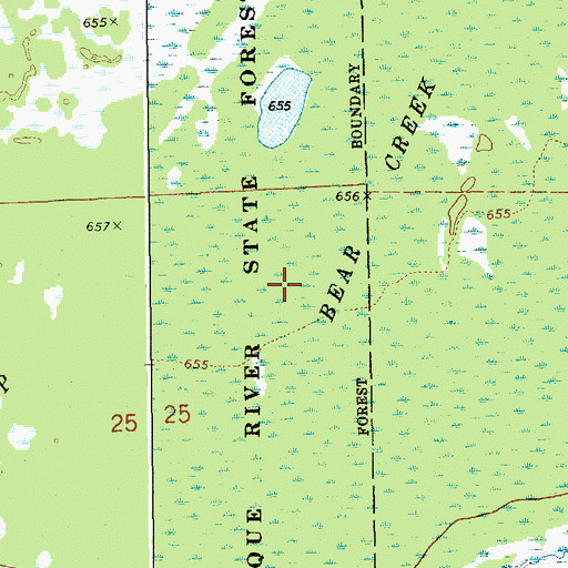 Topographic Map of Bear Creek Swamp, MI