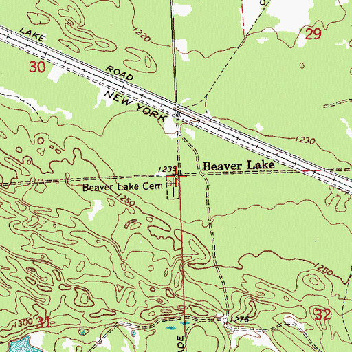 Topographic Map of Beaver Lake, MI