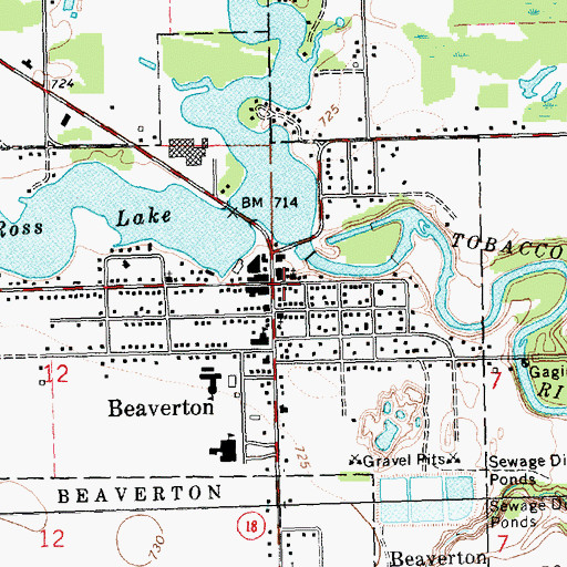 Topographic Map of Beaverton, MI