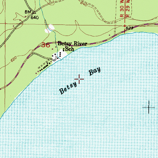 Topographic Map of Betsy Bay, MI
