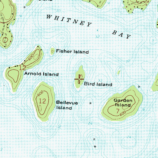 Topographic Map of Bird Island, MI