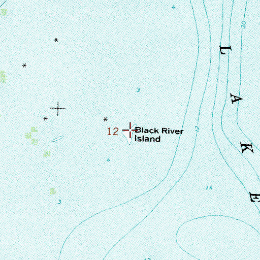 Topographic Map of Black River Island, MI