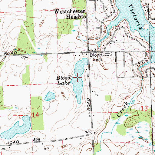 Topographic Map of Blood Lake, MI