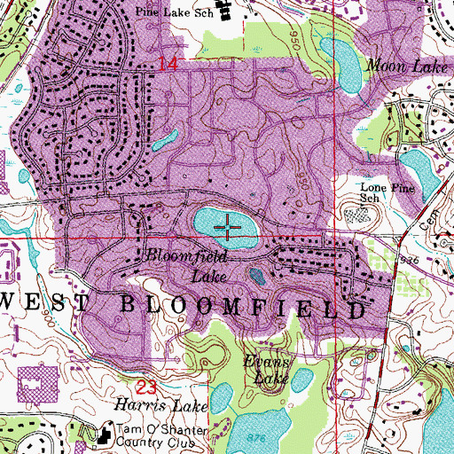 Topographic Map of Bloomfield Lake, MI