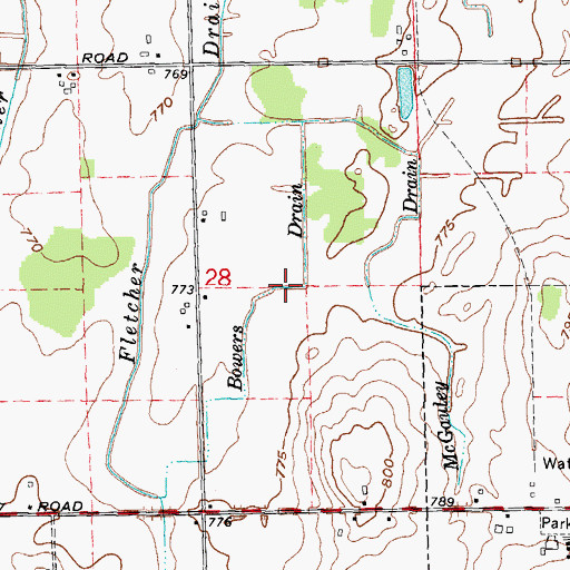 Topographic Map of Bowers Drain, MI