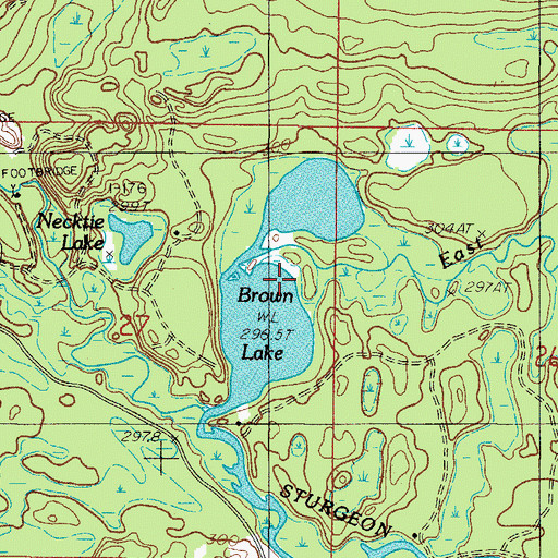 Topographic Map of Brown Lake, MI