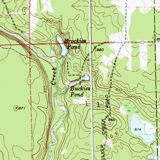 Topographic Map of Buckies Pond, MI