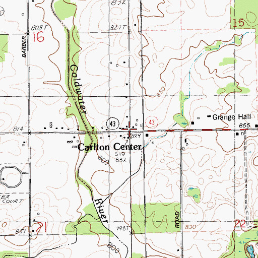 Topographic Map of Carlton, MI