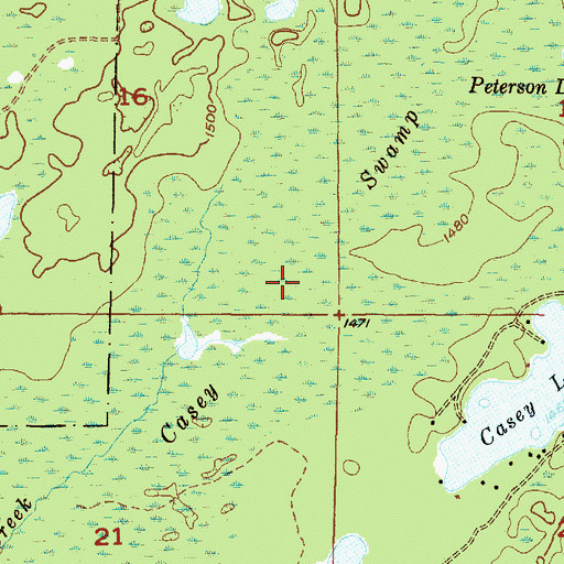 Topographic Map of Casey Swamp, MI